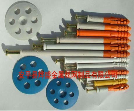 ���w�����